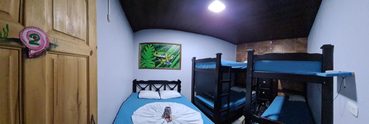 Hostel Tortuguero 7Backpackers מראה חיצוני תמונה