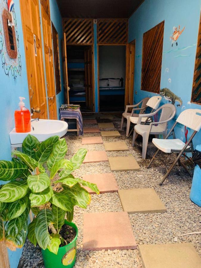 Hostel Tortuguero 7Backpackers מראה חיצוני תמונה