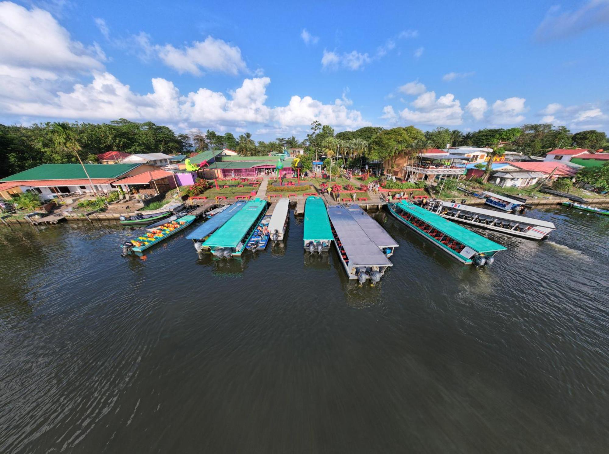 Hostel Tortuguero 7Backpackers מראה חיצוני תמונה